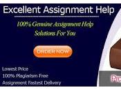 Provide Thoroughly Researched High-Quality Writing Service Property