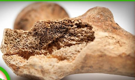 science_ Bones Began as Mineral Batteries science_ Bones Began as Mineral Batteries