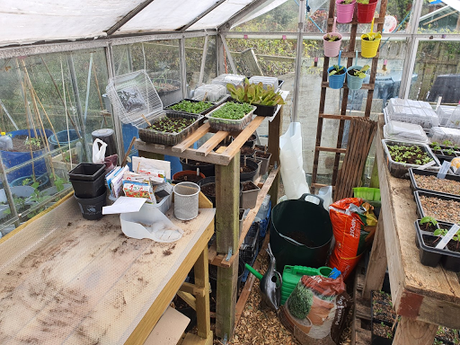 Day 62 - Dealing with allotment inertia.