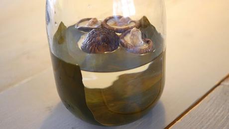 Make miso soup yourself with this easy cold brew kombu dashi from scratch