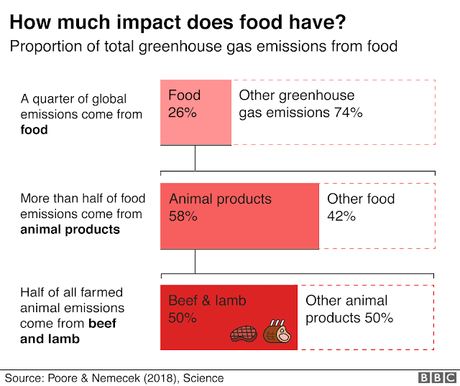 From farm to plate: Climate change is impacted by your carbon foodprint