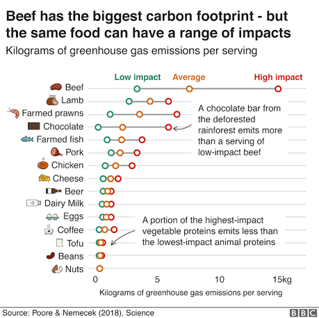 From farm to plate: Climate change is impacted by your carbon foodprint