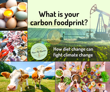 Food for thought: What's your carbon foodprint and how can you reduce it?