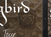 [Blog Tour] 'Songbird' (The Tudor Court, Book Karen Heenan #HistoricalFiction