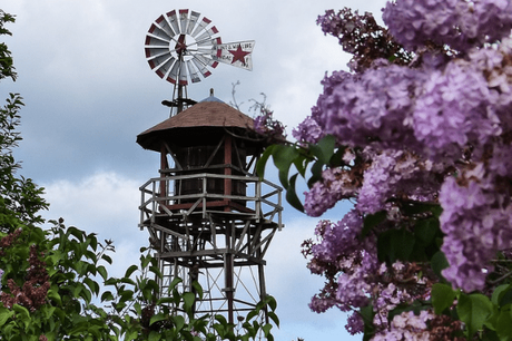 Lilac Days Hulda Klager Lilac Gardens