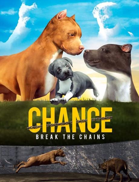 Chance – Release News