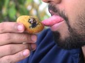 Rasabhediyam (taste), Their Quality Effects