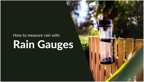 How to Measure Rain with Rain Gauges