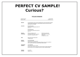 This cv includes employment history, education. Can I Have A Good Sample Resume Quora