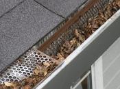 Gutters Clogged? Easy Ways Check