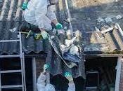 What Expect from Brisbane Based Asbestos Removal Service