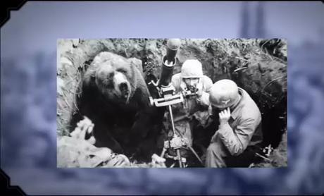 Misconceptions about World War II_1 Misconceptions about World War II_1