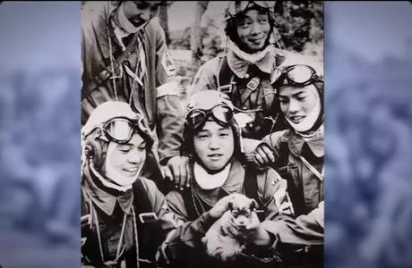 Kamikaze Pilots Kamikaze Pilots