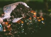 Calling Gardeners: Load Free Compost