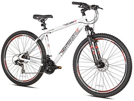 What Is The Best Mountain Bikes To Buy In 2021?