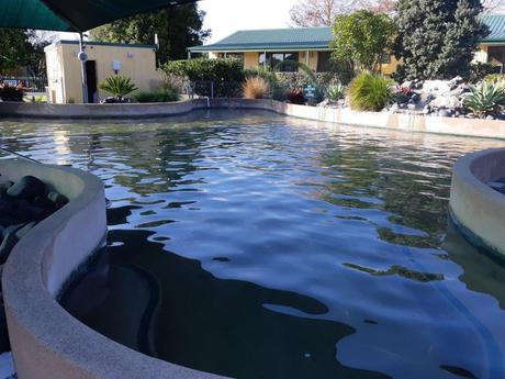 What are Mineral Pools & Are They Worth it