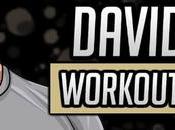 David Laid Workout Routine