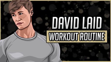 David Laid Workout Routine David Laid Workout Routine