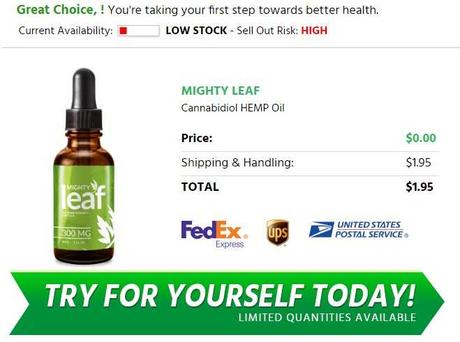 Mighty Leaf CBD  oil -CBD Side Effects