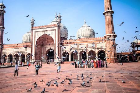 Best Tips and Top Attractions for a Vacation in New Delhi with Kids