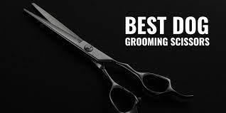 Why you should only use the best grooming scissors on your dog Why you should only use the best grooming scissors on your dog