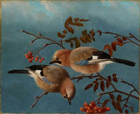 Inspirational art: Jays – Ferdinand von Wright