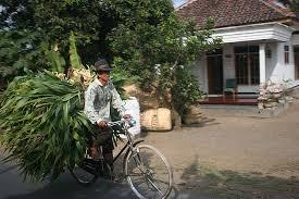 Marudut bicycle store is a pro bicycle shoplocated in jakarta, indonesia. File Farmer On Bicycle In Indonesia Jpg Wikimedia Commons
