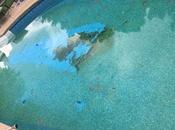 Know Your Swimming Pool Clean