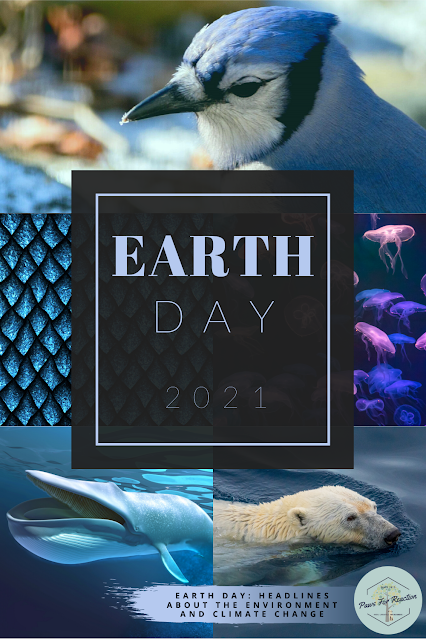 Sustainable stories: Environmental headlines for Earth Day
