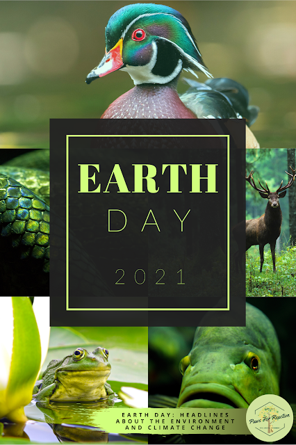 Sustainable stories: Environmental headlines for Earth Day
