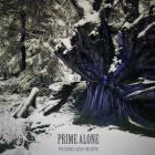 Prime Alone: The Essence Lies In The Depth