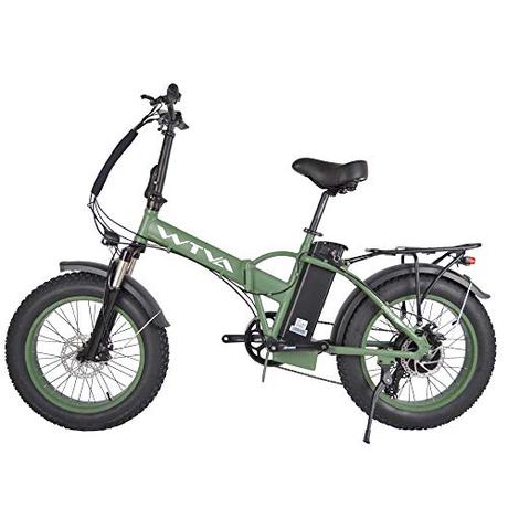 Adult Electric Bike, 20 Inch Fat Tire Folding Electric Bicycles 48V 750W Motor 13AH Lithium-Ion Battery, Beach Snow Hunting City 7 Speed Cycling E-Bikes for Women Men (Green)