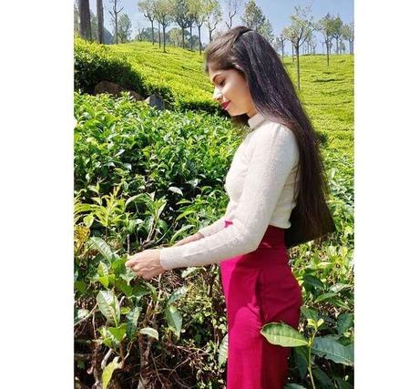 6 Best Things To Do In Pathankot For A Unique Vacation In 2020 6 Best Things To Do In Pathankot For A Unique Vacation In 2020