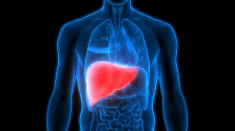 LIVER AND ASSOCIATED DISEASES