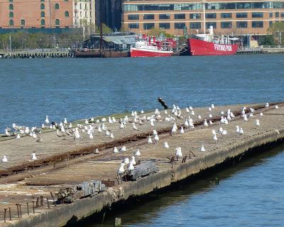 Hoboken, on the north side of town