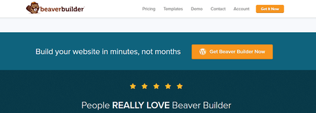 beaver builder