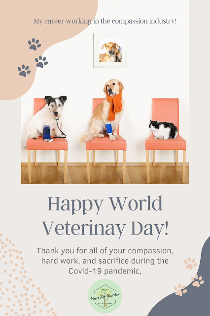 It's World Veterinary Day: Celebrating 6 years in the surprising career of veterinary medicine
