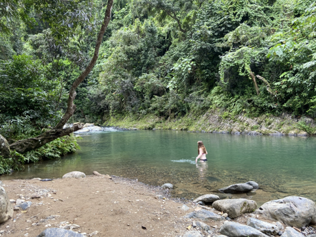 Beautiful Spots to Visit in El Yunque National Forest