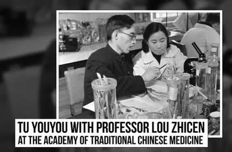 How an Ancient Remedy Became a Modern Cure for Malaria