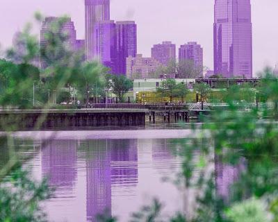 Purple dialectics, the urban pastoral [Matisse]