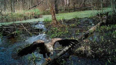 Chernobyl : Expresso | CIA esteve envolvida no acidente de Chernobyl ... : Джаред харрис, стеллан скарсгард, эмили уотсон, джошуа лис, росс армстронг. Чорнобиль), is the chernobyl was largely abandoned following the disaster at the chernobyl nuclear power plant located 14.5 kilometres (9 miles) away. Accidente de Chernobyl: Curiosidades que no sabías