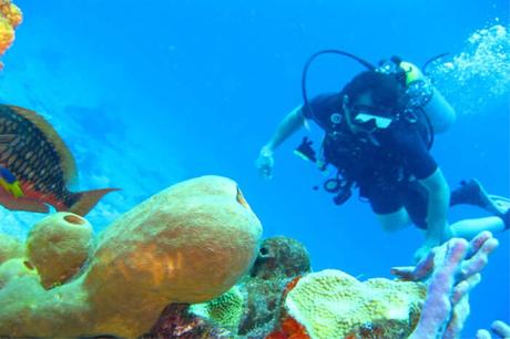 20 Updated Romantic Things To Do In Phuket (With Photos) 20 Updated Romantic Things To Do In Phuket (With Photos)