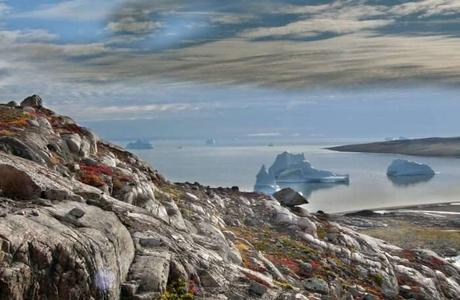 A Guide For Everything You Must Know