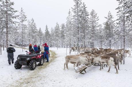 Experiences on working as a tour guide in Lapland