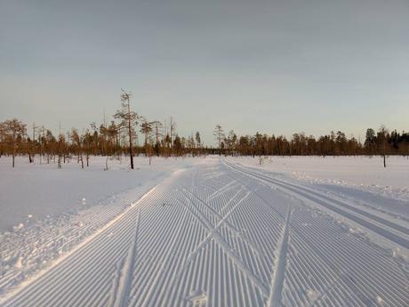 Ranua’s cross-country ski tracks invite you to exercise in middle of the nature