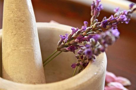 How to make lavender tea