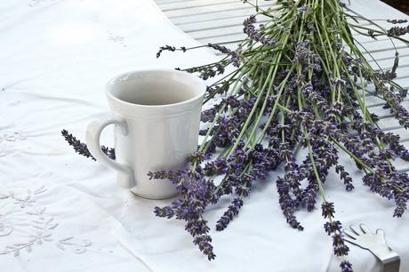 Lavender tea benefits