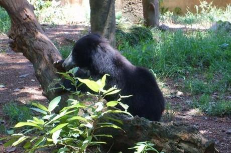 5 Top Things To Do In Colombo With Kids For Maximum Fun