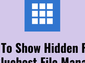Show Hidden Files Bluehost File Manager?