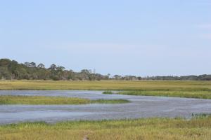 Salt Marsh Haiku